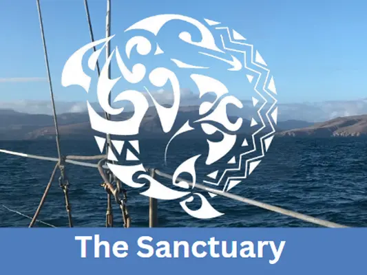 One NZ EDM