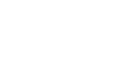 AF Lion Foundation Logo 455x228 150dpi